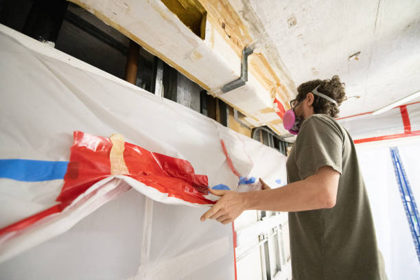Best Asbestos and Lead Testing During Mold Inspection  in Hector, MN
