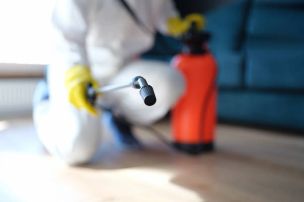 Best Mold Documentation for Insurance Claims  in Hector, MN